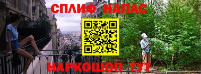 амф Кингисепп