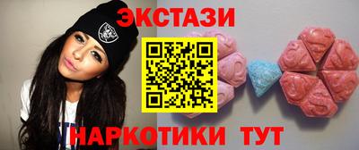 амф Кингисепп