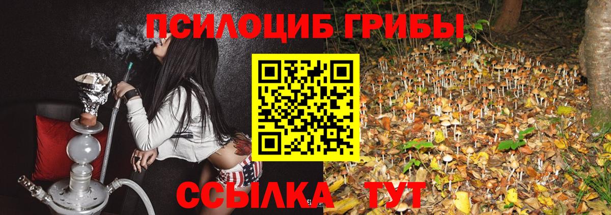 Галлюциногенные грибы MAGIC MUSHROOMS Бирск